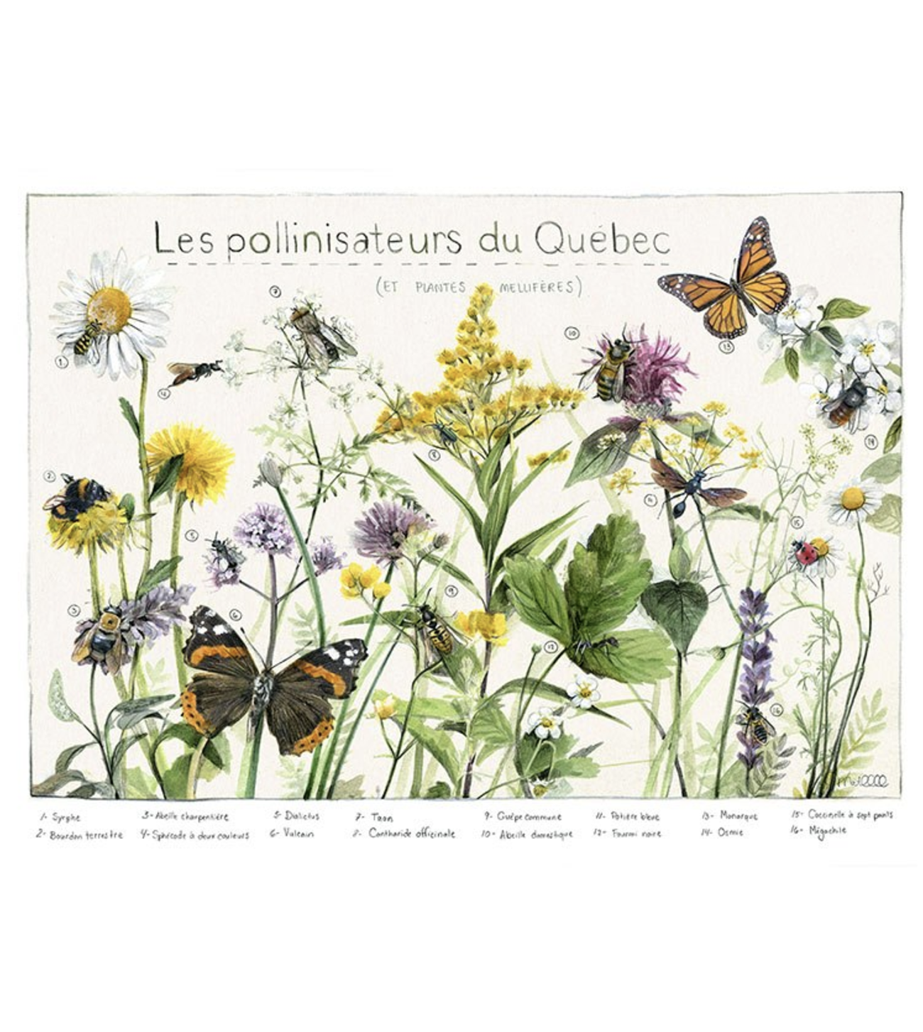 Carte de souhaits Pollinisateurs Mathilde Cinq-Mars
