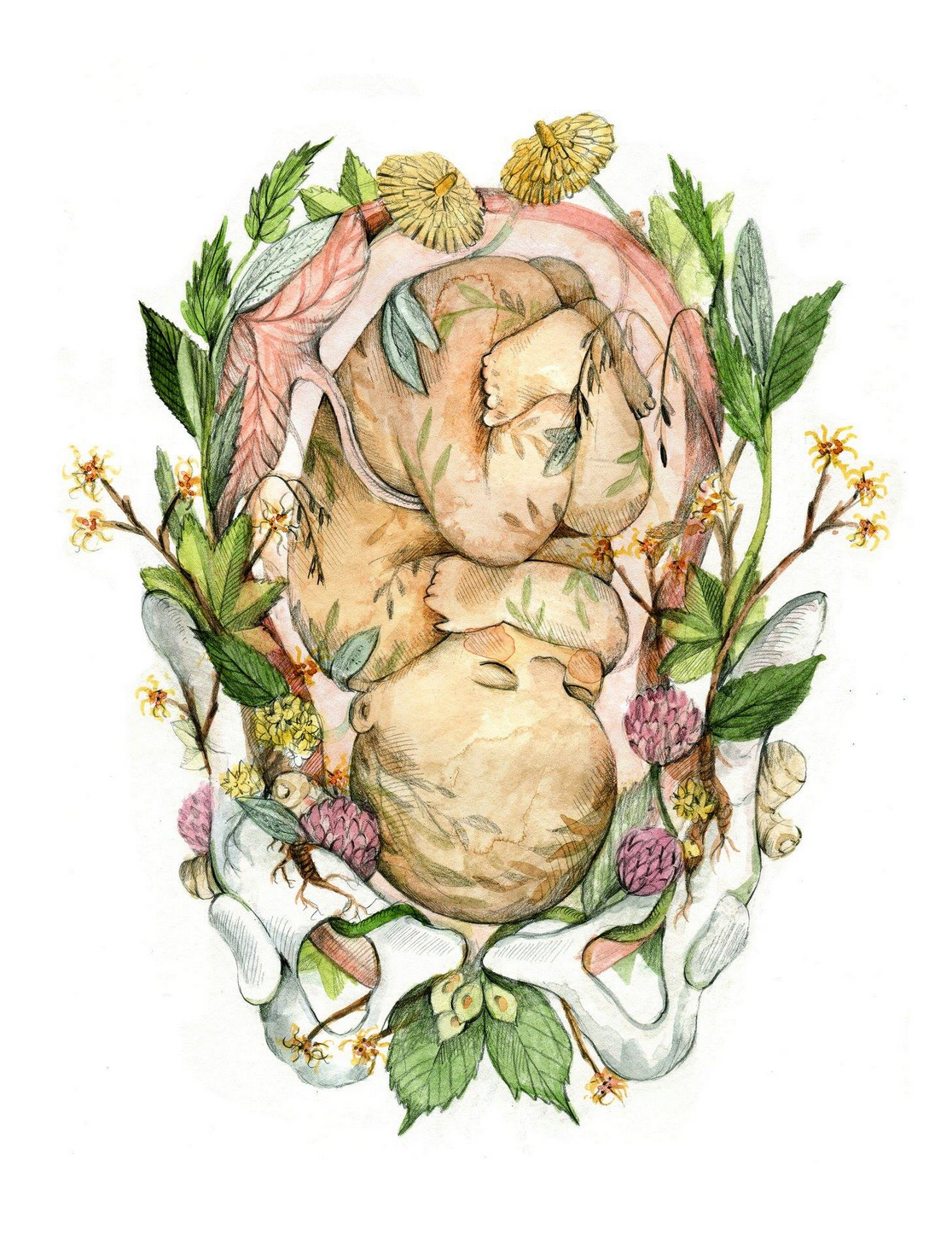 Carte de souhaits Foetus