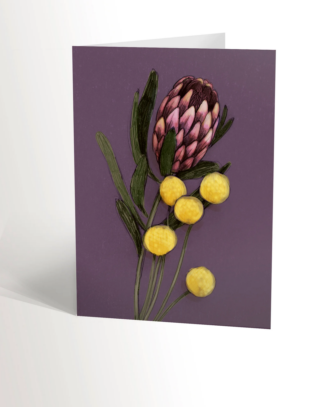 Carte de souhaits fleur Protea