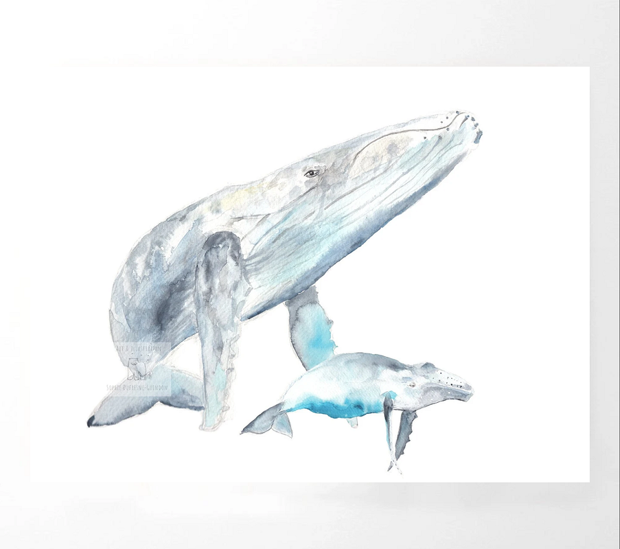 Affiche Papa baleine 8x10 pouces par Sophie Dufresne Guindon